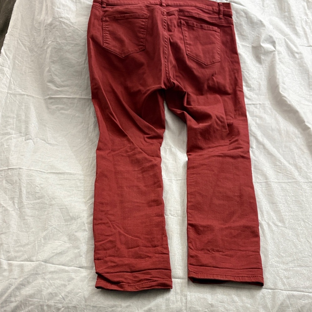 New York & Company Burnt Orange Distressed Jeggings - Picture 2 of 9
